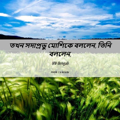 Picture 06 - গননা 7:4 BENIRV - তখন সদাপ্রভু - Bible Verse Picture