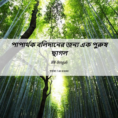 Picture 06 - গননা 7:40 BENIRV - পাপার্থক বলিদানের - Bible Verse Picture