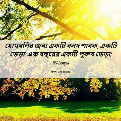 Picture 06 - গননা 7:45 BENIRV - হোমবলির জন্য একটি - Bible Verse Picture