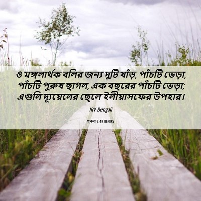 Picture 06 - গননা 7:47 BENIRV - ও মঙ্গলার্থক বলির - Bible Verse Picture