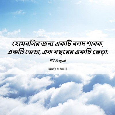 Picture 06 - গননা 7:51 BENIRV - হোমবলির জন্য একটি - Bible Verse Picture