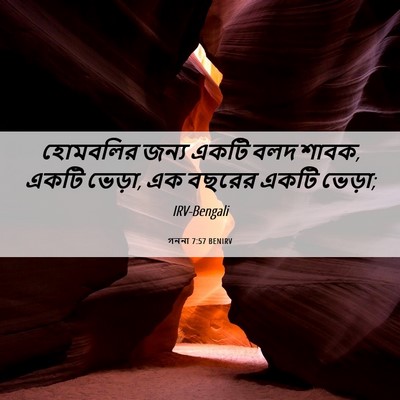 Picture 06 - গননা 7:57 BENIRV - হোমবলির জন্য একটি - Bible Verse Picture