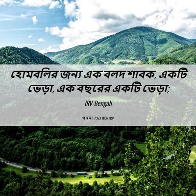 Picture 06 - গননা 7:63 BENIRV - হোমবলির জন্য এক - Bible Verse Picture