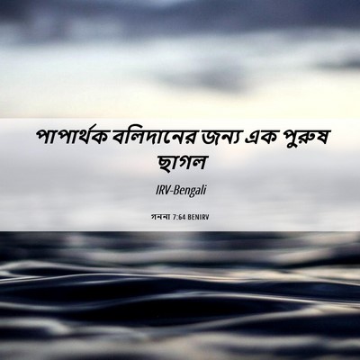 Picture 06 - গননা 7:64 BENIRV - পাপার্থক বলিদানের - Bible Verse Picture