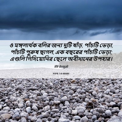 Picture 06 - গননা 7:65 BENIRV - ও মঙ্গলার্থক বলির - Bible Verse Picture