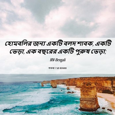 Picture 06 - গননা 7:69 BENIRV - হোমবলির জন্য একটি - Bible Verse Picture