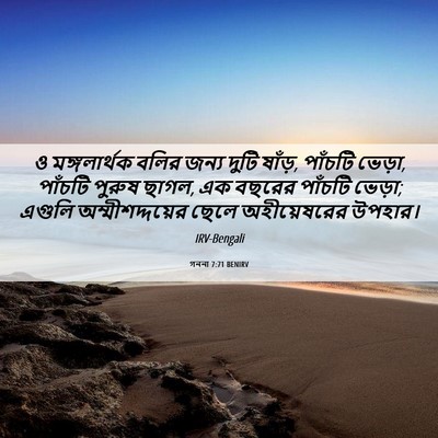 Picture 06 - গননা 7:71 BENIRV - ও মঙ্গলার্থক বলির - Bible Verse Picture