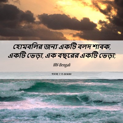 Picture 06 - গননা 7:75 BENIRV - হোমবলির জন্য একটি - Bible Verse Picture