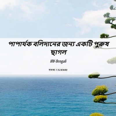 Picture 06 - গননা 7:76 BENIRV - পাপার্থক বলিদানের - Bible Verse Picture
