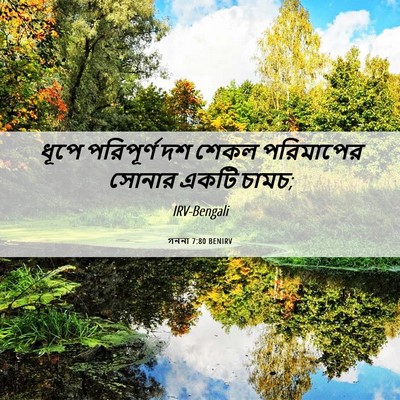 Picture 06 - গননা 7:80 BENIRV - ধূপে পরিপূর্ণ দশ - Bible Verse Picture