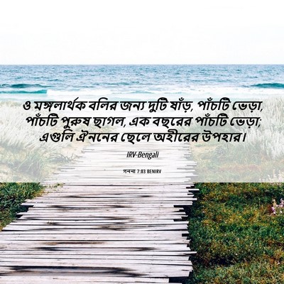 Picture 06 - গননা 7:83 BENIRV - ও মঙ্গলার্থক বলির - Bible Verse Picture