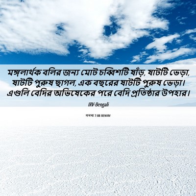 Picture 06 - গননা 7:88 BENIRV - মঙ্গলার্থক বলির - Bible Verse Picture