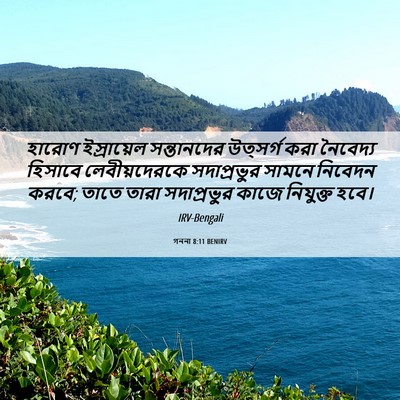 Picture 06 - গননা 8:11 BENIRV - হারোণ ইস্রায়েল - Bible Verse Picture