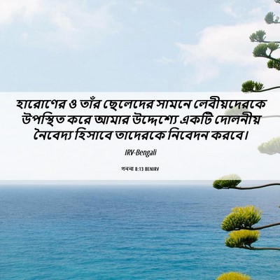 Picture 06 - গননা 8:13 BENIRV - হারোণের ও তাঁর - Bible Verse Picture