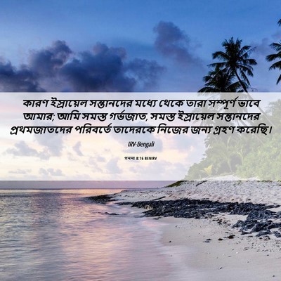 Picture 06 - গননা 8:16 BENIRV - কারণ ইস্রায়েল - Bible Verse Picture