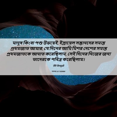 Picture 06 - গননা 8:17 BENIRV - মানুষ কিংবা পশু - Bible Verse Picture