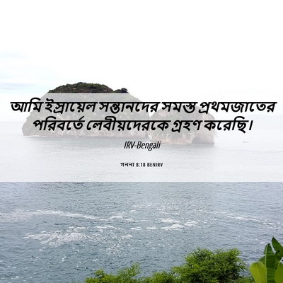Picture 06 - গননা 8:18 BENIRV - আমি ইস্রায়েল - Bible Verse Picture