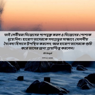 Picture 06 - গননা 8:21 BENIRV - তাই লেবীয়রা - Bible Verse Picture