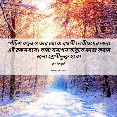 Picture 06 - গননা 8:24 BENIRV - “পঁচিশ বছর ও তার - Bible Verse Picture