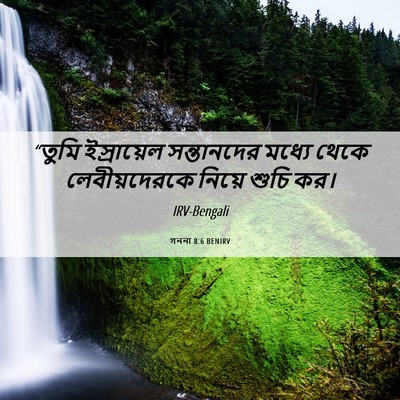 Picture 06 - গননা 8:6 BENIRV - “তুমি ইস্রায়েল - Bible Verse Picture