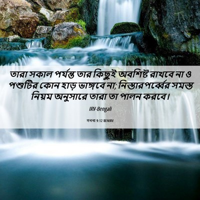 Picture 06 - গননা 9:12 BENIRV - তারা সকাল পর্যন্ত - Bible Verse Picture