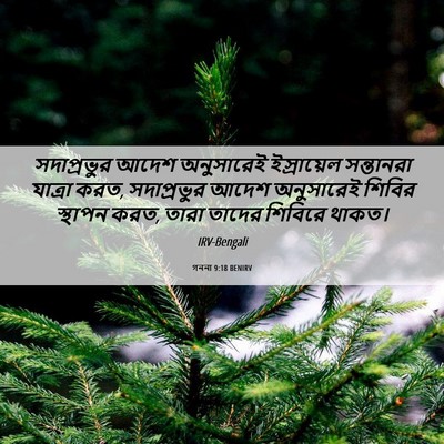 Picture 06 - গননা 9:18 BENIRV - সদাপ্রভুর আদেশ - Bible Verse Picture