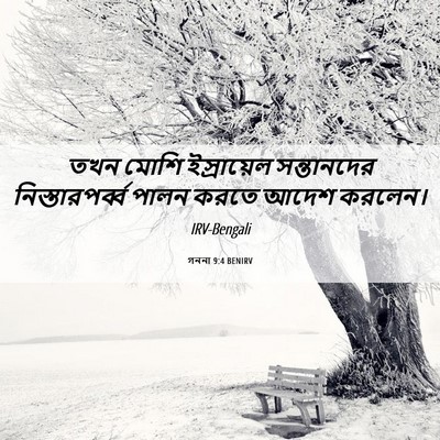 Picture 06 - গননা 9:4 BENIRV - তখন মোশি - Bible Verse Picture