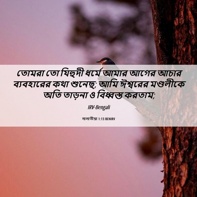 Picture 06 - গালাতীয়া 1:13 BENIRV - তোমরা তো যিহুদী - Bible Verse Picture