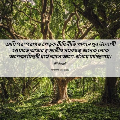 Picture 06 - গালাতীয়া 1:14 BENIRV - আমি পরম্পরাগত - Bible Verse Picture