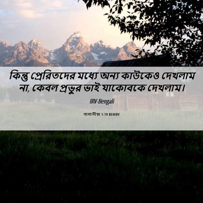 Picture 06 - গালাতীয়া 1:19 BENIRV - কিন্তু প্রেরিতদের - Bible Verse Picture