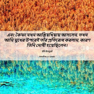 Picture 06 - গালাতীয়া 2:11 BENIRV - এবং কৈফা যখন - Bible Verse Picture