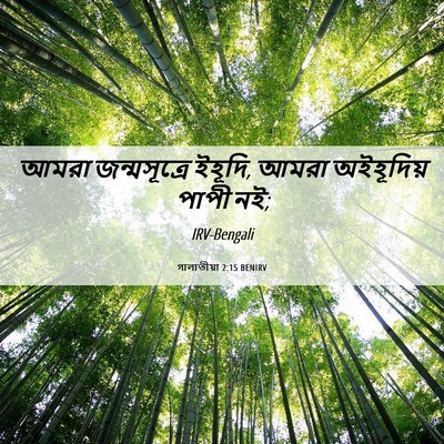 Picture 06 - গালাতীয়া 2:15 BENIRV - আমরা জন্মসূত্রে - Bible Verse Picture