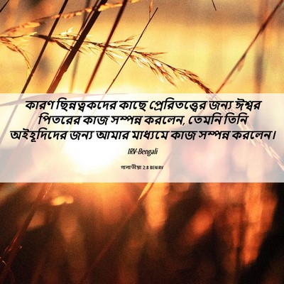 Picture 06 - গালাতীয়া 2:8 BENIRV - কারণ ছিন্নত্বকদের - Bible Verse Picture