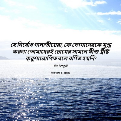 Picture 06 - গালাতীয়া 3:1 BENIRV - হে নির্বোধ - Bible Verse Picture