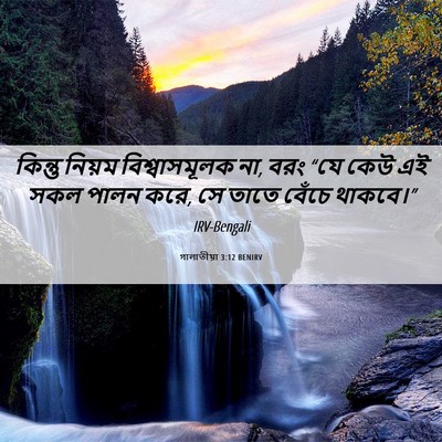 Picture 06 - গালাতীয়া 3:12 BENIRV - কিন্তু নিয়ম - Bible Verse Picture