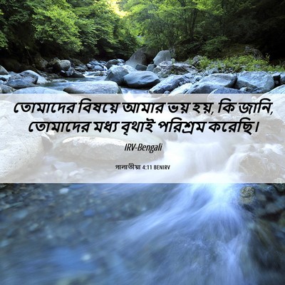 Picture 06 - গালাতীয়া 4:11 BENIRV - তোমাদের বিষয়ে - Bible Verse Picture