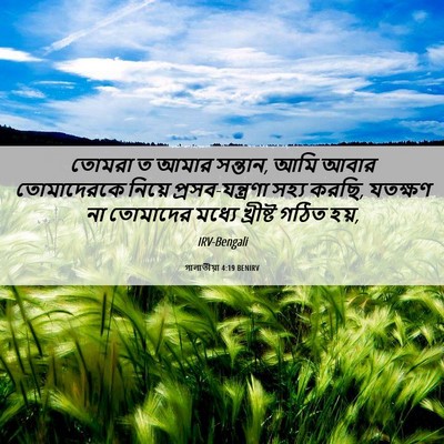 Picture 06 - গালাতীয়া 4:19 BENIRV - তোমরা ত আমার - Bible Verse Picture