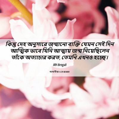 Picture 06 - গালাতীয়া 4:29 BENIRV - কিন্তু দেহ - Bible Verse Picture