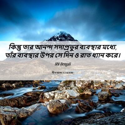 Picture 06 - গীতমালা 1:2 BENIRV - কিন্তু তার আনন্দ - Bible Verse Picture