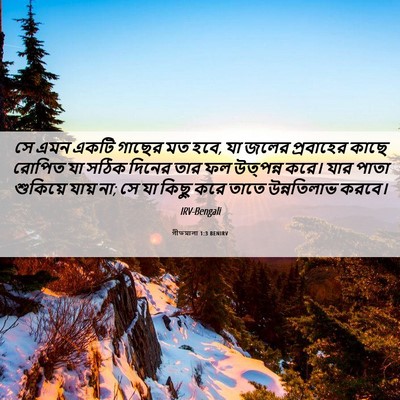Picture 06 - গীতমালা 1:3 BENIRV - সে এমন একটি গাছের - Bible Verse Picture