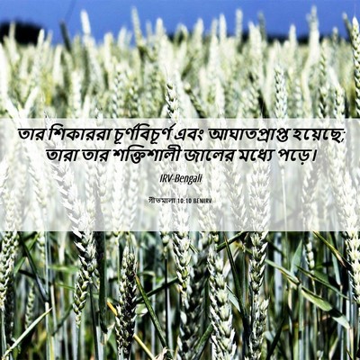 Picture 06 - গীতমালা 10:10 BENIRV - তার শিকাররা - Bible Verse Picture