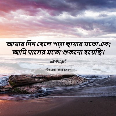Picture 06 - গীতমালা 102:11 BENIRV - আমার দিন হেলে পড়া - Bible Verse Picture
