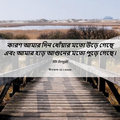 Picture 06 - গীতমালা 102:3 BENIRV - কারণ আমার দিন - Bible Verse Picture