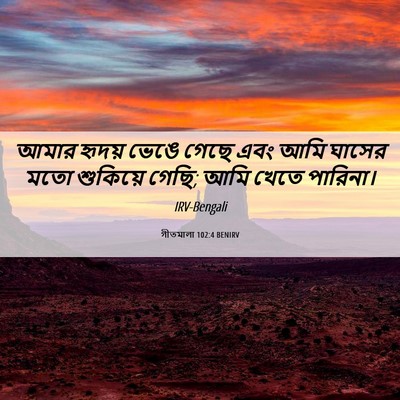 Picture 06 - গীতমালা 102:4 BENIRV - আমার হৃদয় ভেঙে - Bible Verse Picture
