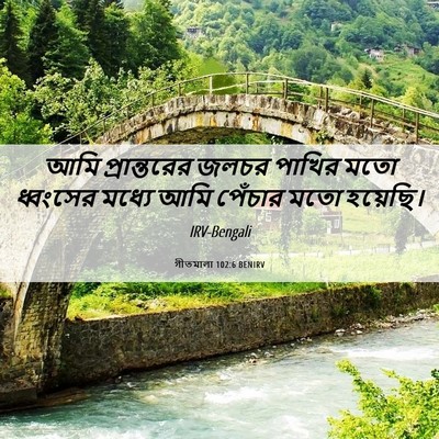 Picture 06 - গীতমালা 102:6 BENIRV - আমি প্রান্তরের - Bible Verse Picture