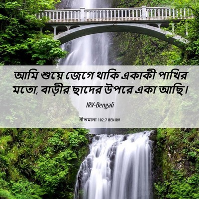Picture 06 - গীতমালা 102:7 BENIRV - আমি শুয়ে জেগে - Bible Verse Picture
