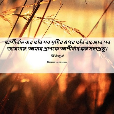 Picture 06 - গীতমালা 103:22 BENIRV - আশীর্বাদ কর তাঁর - Bible Verse Picture