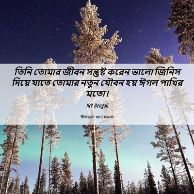 Picture 06 - গীতমালা 103:5 BENIRV - তিনি তোমার জীবন - Bible Verse Picture