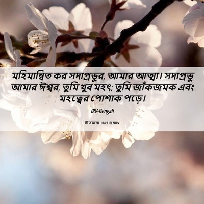 Picture 06 - গীতমালা 104:1 BENIRV - মহিমান্বিত কর - Bible Verse Picture