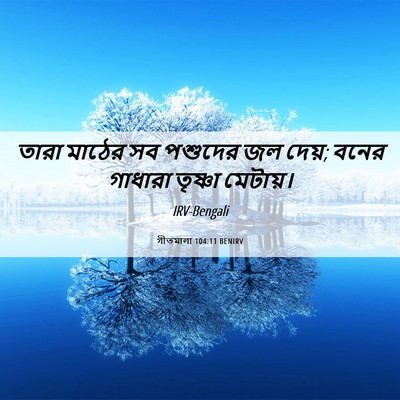 Picture 06 - গীতমালা 104:11 BENIRV - তারা মাঠের সব - Bible Verse Picture